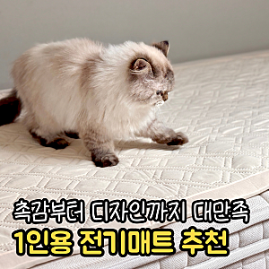1인용 전기장판 추천 한일의료기 탄소매트 세탁가능 무전자파 전기매트 사용 후기