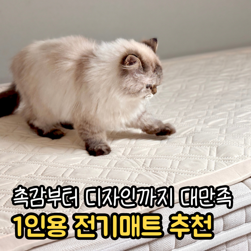 1인용 전기장판 추천 한일의료기 탄소매트 세탁가능 무전자파 전기매트 사용 후기