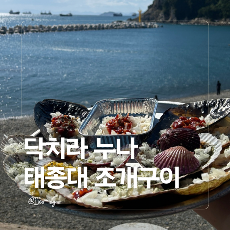 부산 태종대 조개구이 닥치라누나, 뷰가 예술인 자갈마당 조개구이 맛집