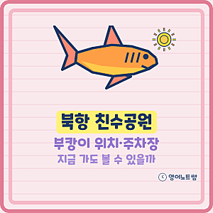 북항 친수공원 부캉이 부산상어 북항상어 주차장 부산 여행 지금 가도 볼 수 있을까?