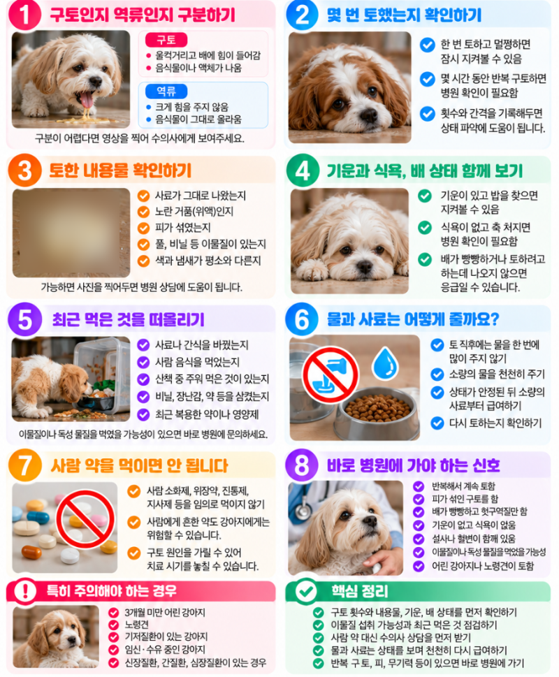 강아지가 토할 때 먼저 확인할 사항
