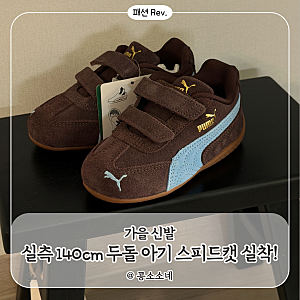 두돌 아기 가을 운동화 추천｜푸마 스피드캣 브라운&팀 라이트 블루 실측 140cm