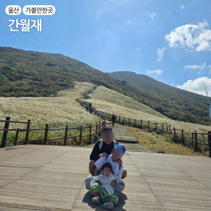 "28개월 아이도 갈 수 있나요?" 울산 간월재 초보자 등산 코스 주차 팁 억새 실시간