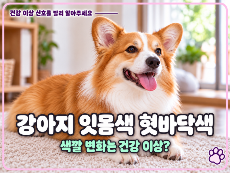 강아지 잇몸색 ,혓바닥 색깔에 따른 건강 이상 신호는