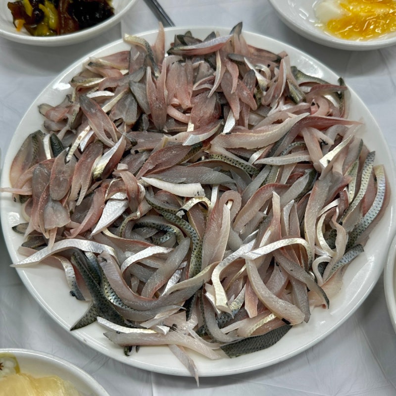 [부산 여행] 자갈치시장 남포동 횟집 전어 맛집 '명지횟집'