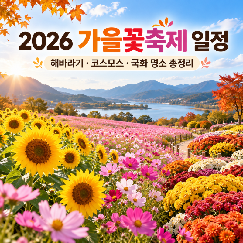 2026 전국 가을꽃축제 일정 정보 총정리