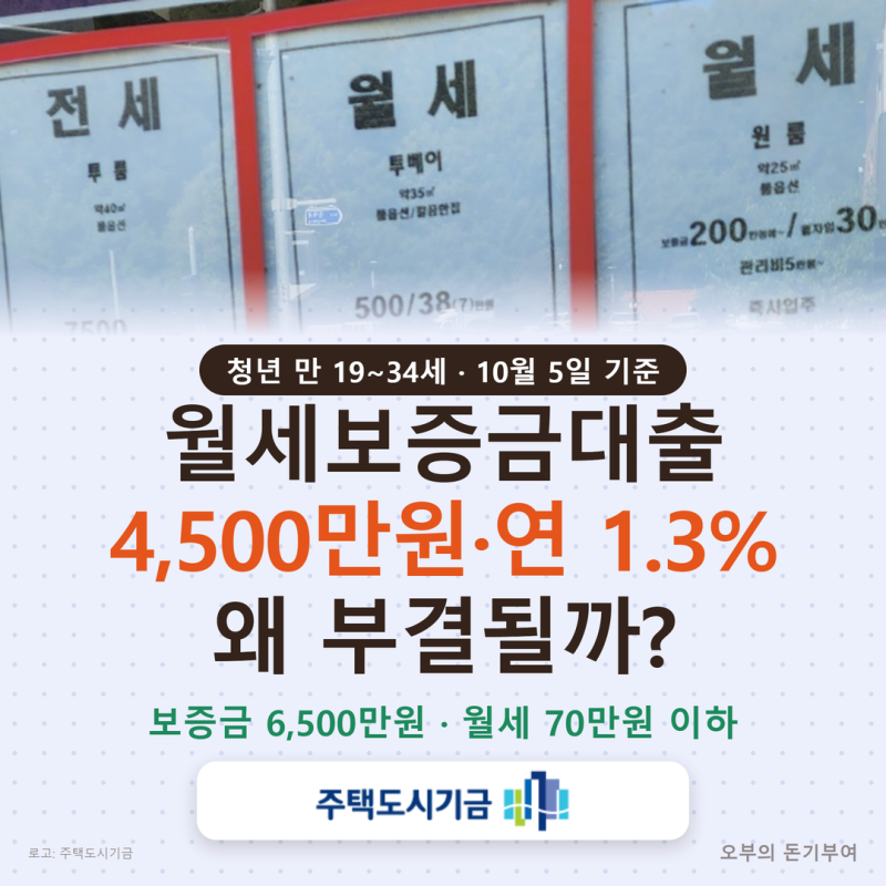 월세보증금대출, 청년은 4,500만원까지 연 1.3%인데 왜 부결될까? 보증금 6,500만원·월세 70만원 ....