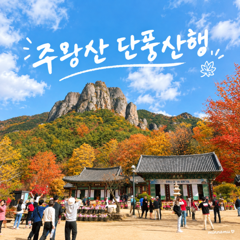 [주왕산] 최고의 가을 단풍 산행 주왕산 직접 다녀온 후기 | 주차, 난이도, 소요시간 등