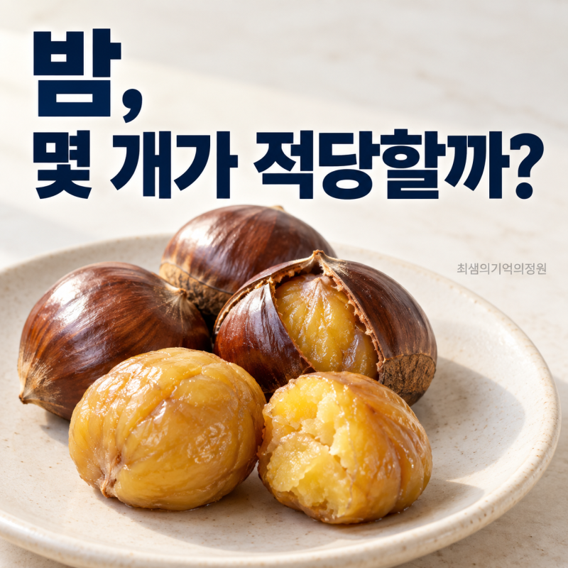 밤 효능과 부작용ㅣ 삶은 밤 칼로리·하루 몇 개가 적당할까?