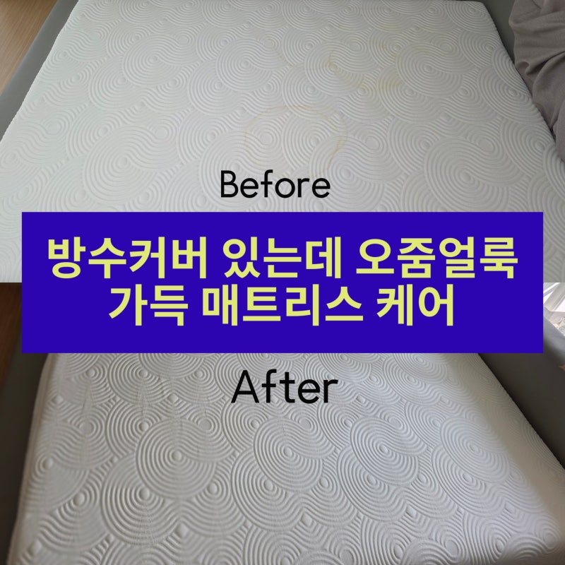 방수커버 있는데도 오줌얼룩 가득한 매트리스 작업후기 ; 진주매트리스청소 추천[비치움 진....