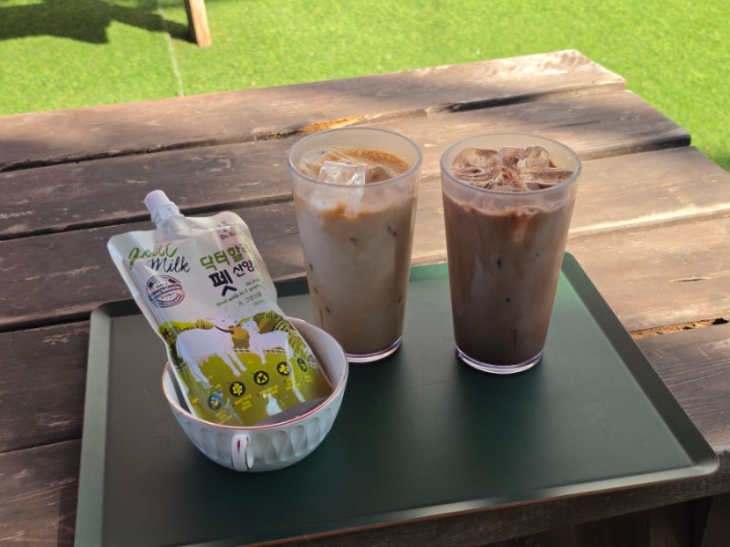 용인 애견카페, 용인 애견동반 카페 테일즈파크