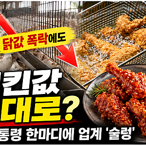 닭값 폭락했는데 치킨값은 왜 그대로일까? 이재명 대통령 '점검' 발언에 업계 술렁