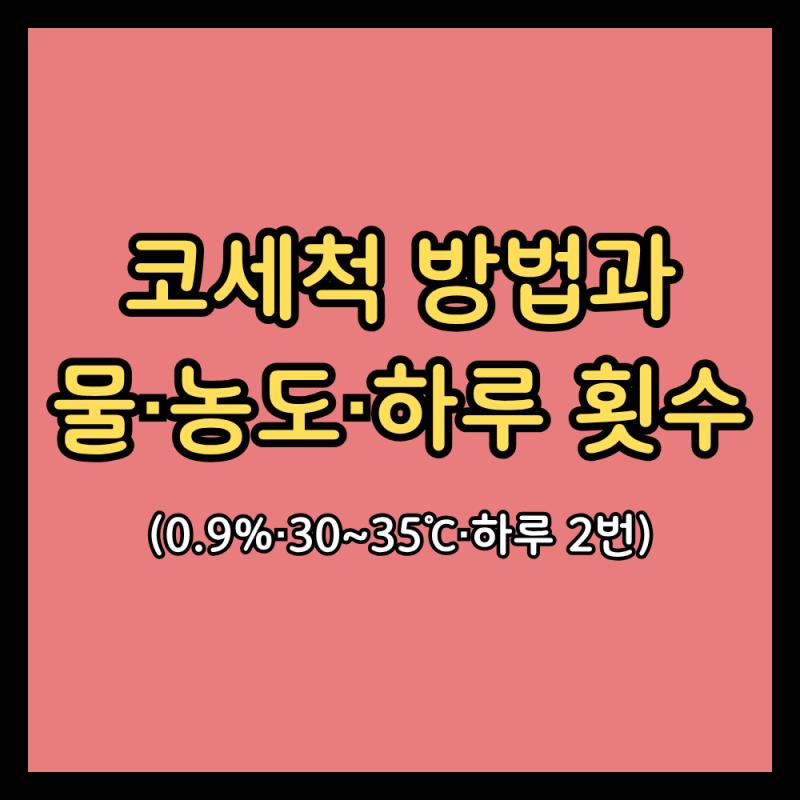 코세척, 어떤 물로 하루 몇 번 해야 할까 (코세척 방법·식염수 농도·자세·주의사항)