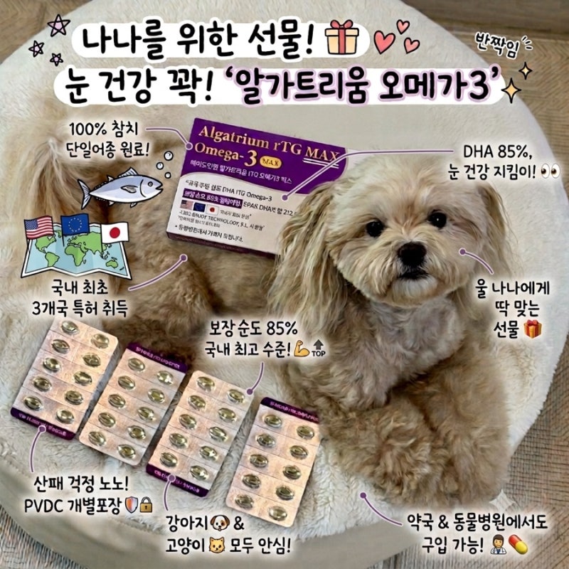 강아지 고양이 오메가3 메이드인랩 알가트리움 DHA 애견 눈물 영양제 급여 후기