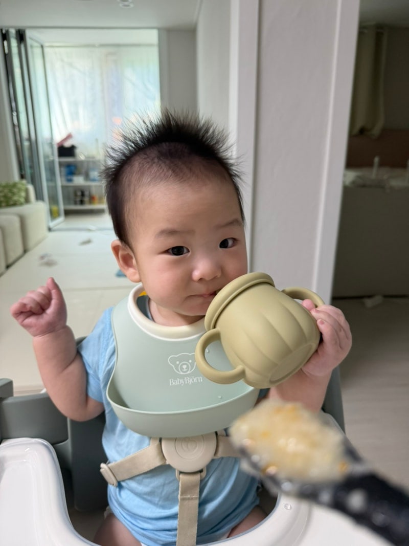 7개월아기 중기이유식 | 마이아쿠커 두유제조기로 한우새송이버섯야채죽 만드는 법2
