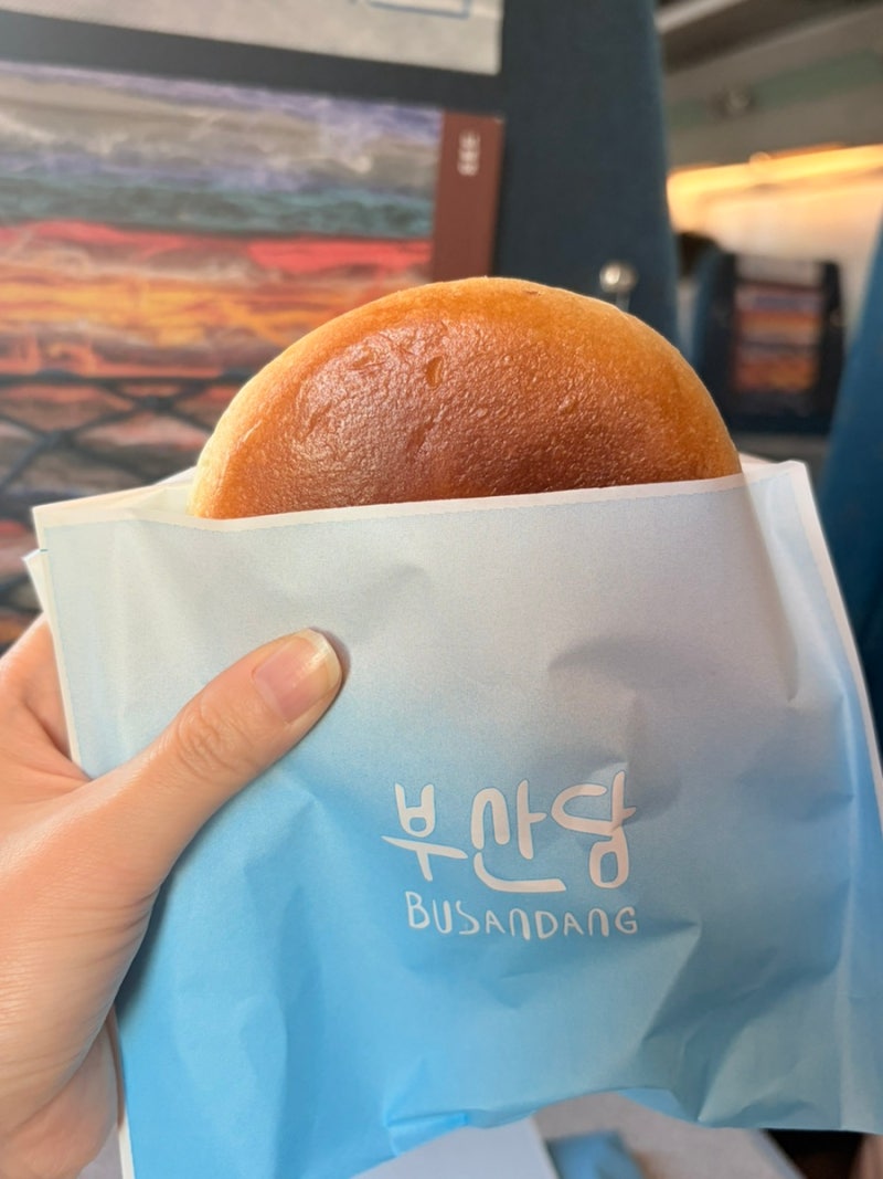부산 빵지순례 추천 부산당 빵 4종 솔직후기