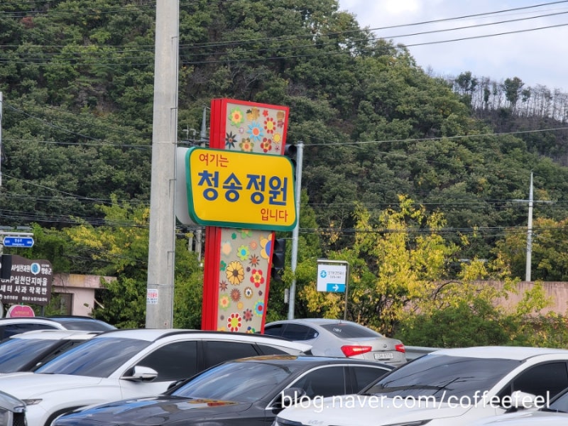 산소카페 청송정원 백일홍