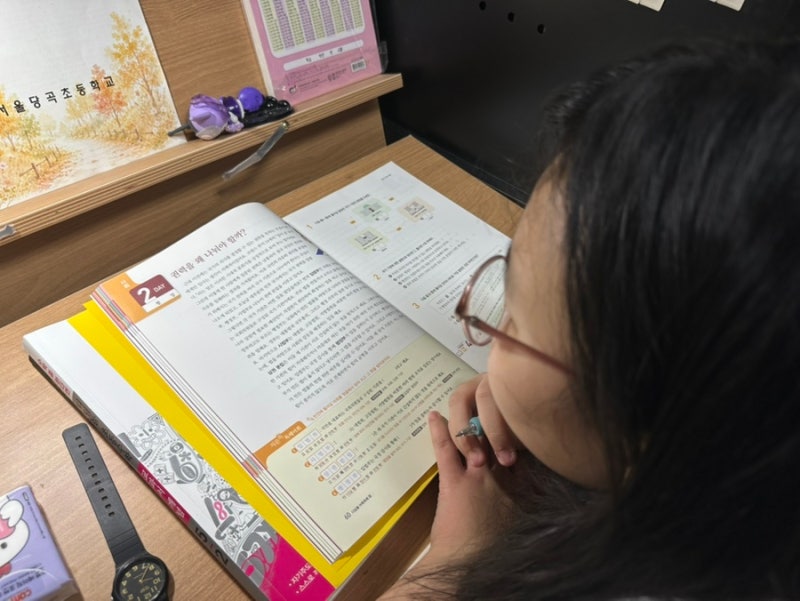 (엄마표학습)5학년2학기 현행으로 달리는 심화 그리고 어휘독해- 초등수학 교과서개념, 최상....