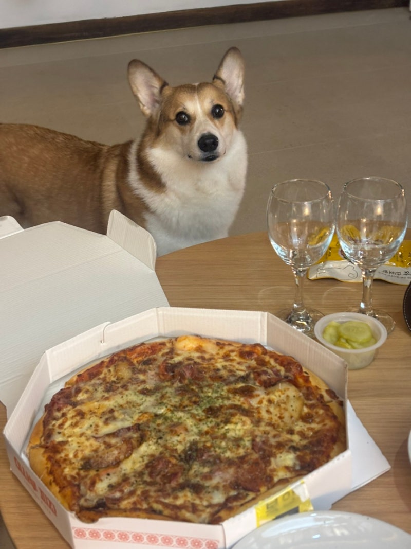 경주 황리단길 맛집 이사부피자, 여행 오면 먹어봐야 할 곳