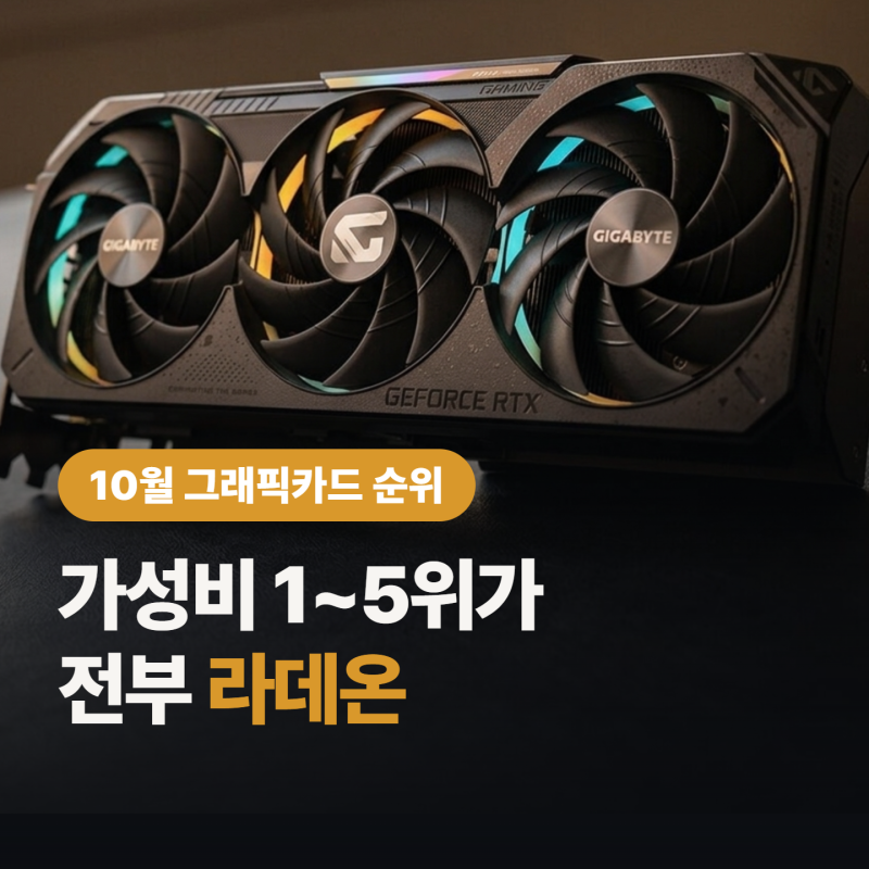 그래픽카드 순위 2026년 10월, 성능 가성비 TOP 10 “9070 XT가 5070 Ti를 이겼다고?”