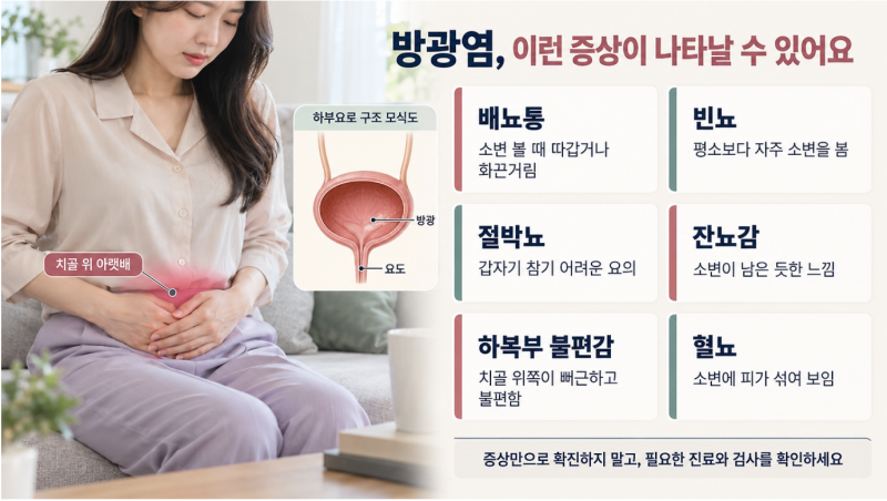 방광염 자연치료 핵심 정리, 물·온찜질·유산균 효과와 주의할 증상