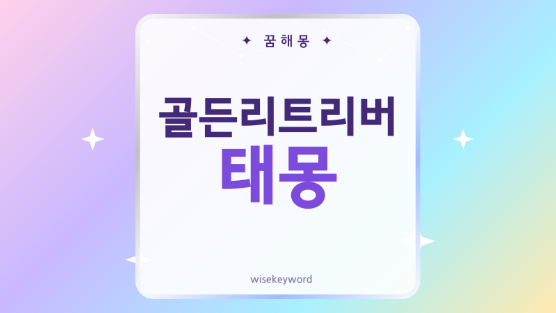 골든리트리버 태몽, 강아지가 찾아온 꿈의 따뜻한 뜻