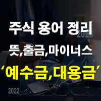 주식 대용금 뜻 및 주식 예수금 출금 마이너스 D+2 가정산 뜻 정리
