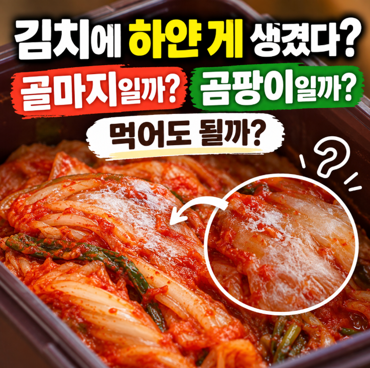 김치에 하얀 게 생겼다? 골마지일까 곰팡이일까, 먹어도 될까?