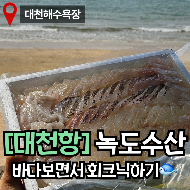 대천항 수산시장 녹도수산｜광어 우럭 6만원 포장해서 대천해수욕장 회크닉