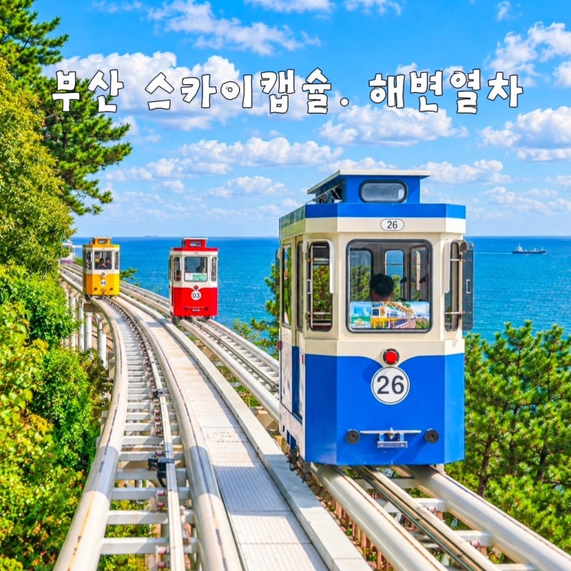 부산 해운대 블루라인파크 부산 스카이캡슐 해변열차 예약 할인 이용 꿀팁
