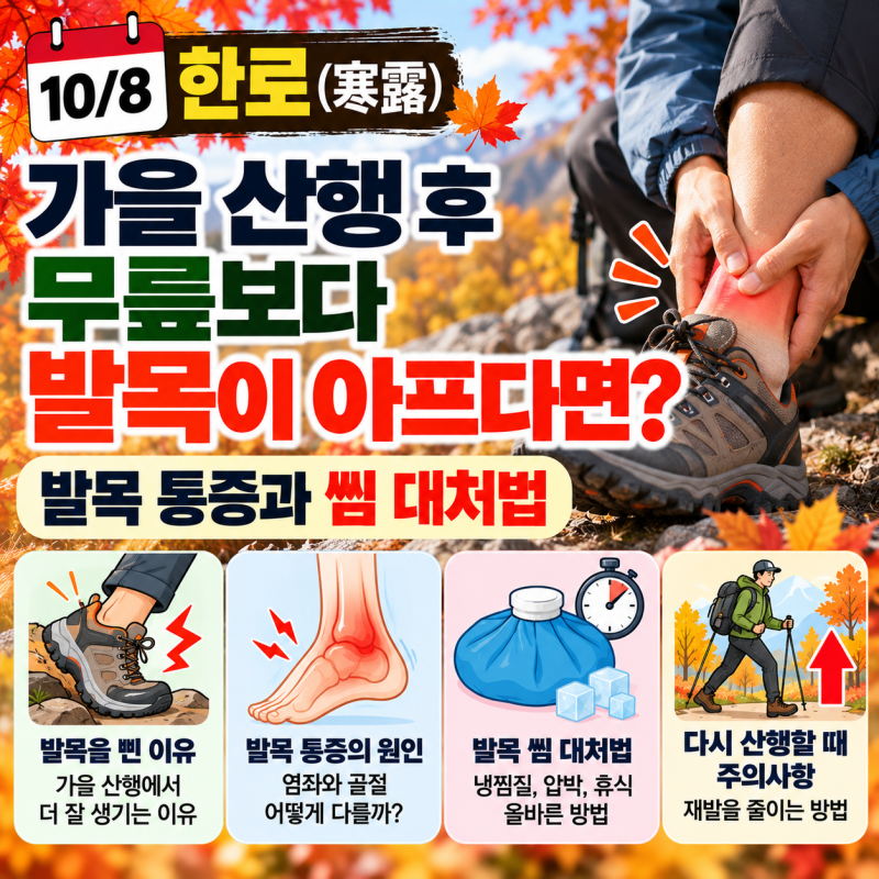10월 8일 한로, 가을 산행 후 발목이 아프다면? 발목 삠·염좌 대처법과 병원 가야 할 증상