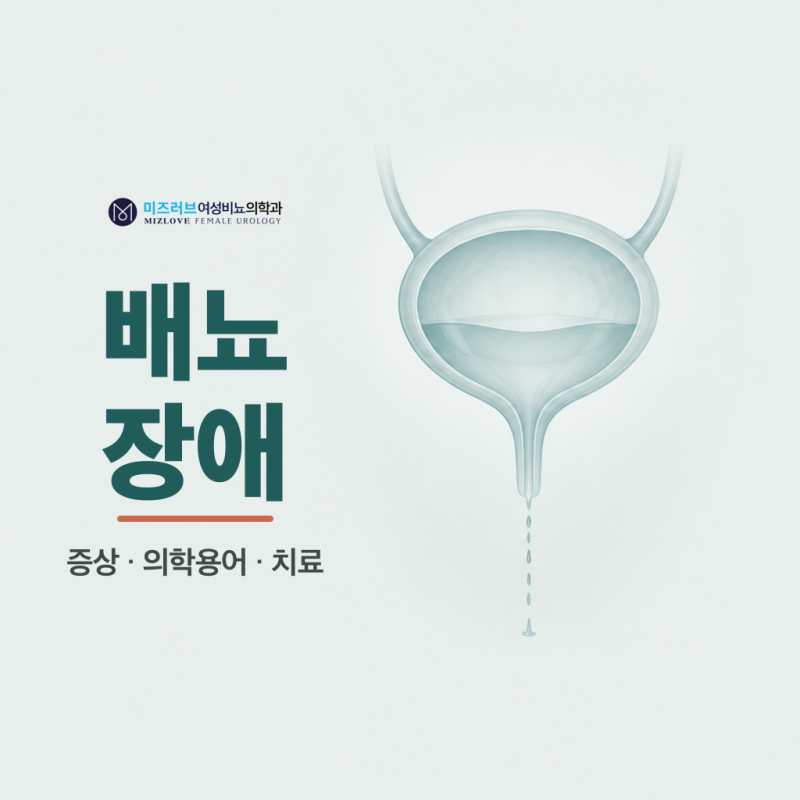 배뇨장애 증상을 의학용어로 풀어 본 요주저, 약뇨, 잔뇨감과 치료.