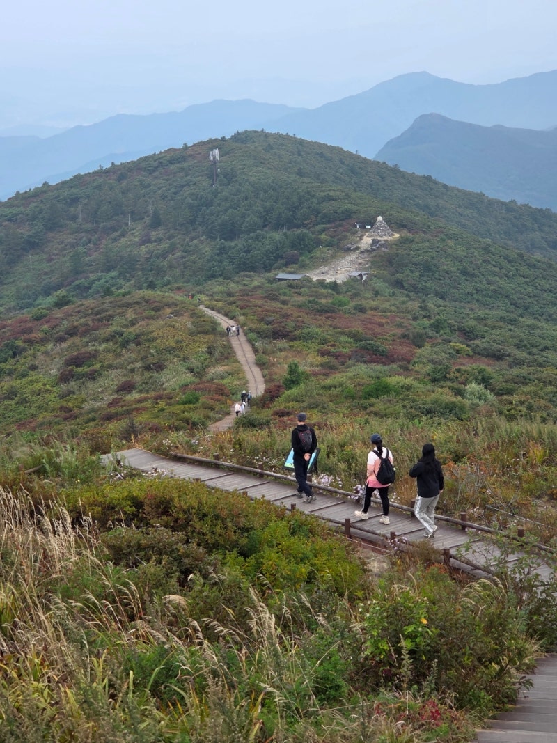 [구례] 지리산 노고단등산- 성삼재에서 노고단정상까지
