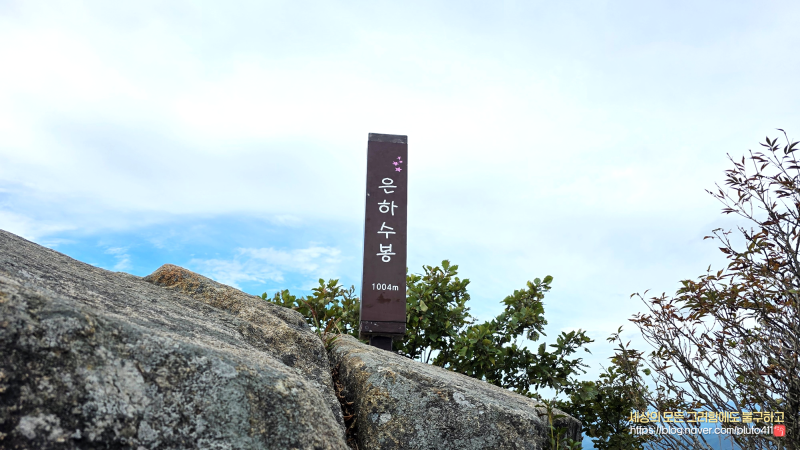 [우리가 아직 몰랐던 여행] 황매산 억새