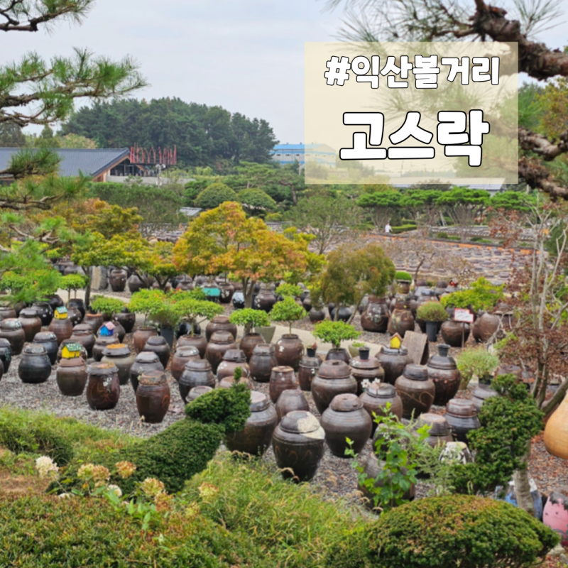전라도 여행지 익산가볼만한곳 고스락
