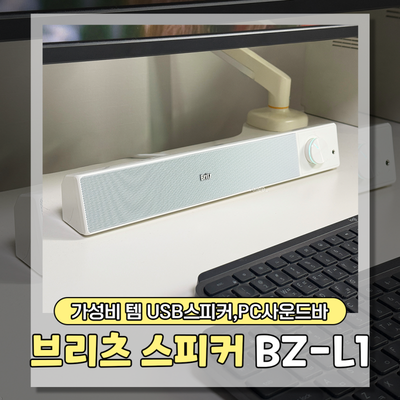 브리츠 스피커 추천 BZ-L1 USB스피커,PC사운드바