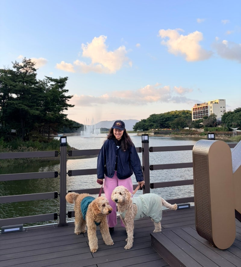 포천 고모리마켓 애견동반 후기, 먹거리 구경부터 호수 산책까지