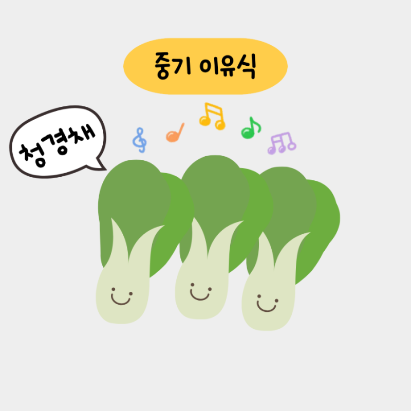 중기 이유식 | 청경채 큐브 만들기