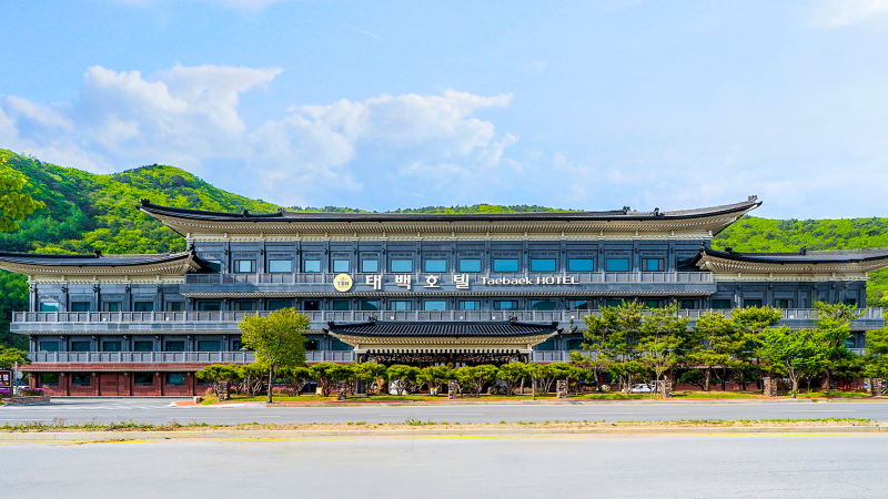 태백호텔 수영장 조식 한국관 꿀팁