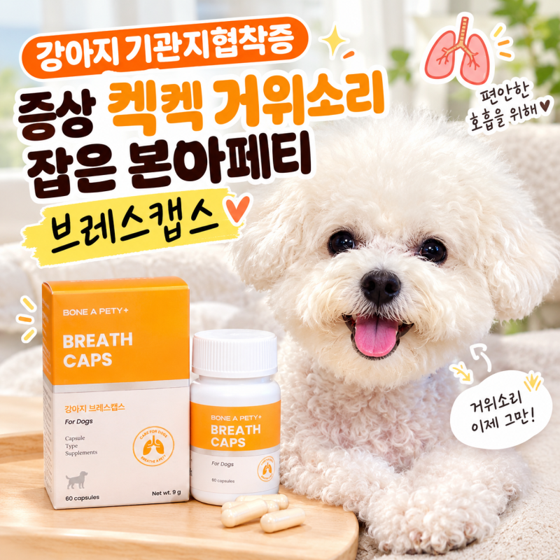 강아지 기관지협착증 증상 켁켁 거위소리 잡은 본아페티 브레스캡스