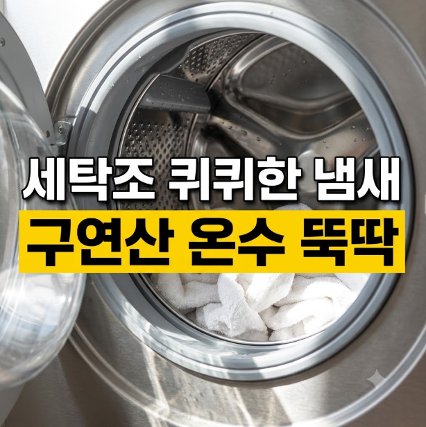 세탁조 안쪽 퀴퀴한 물때 냄새 온수 코스에 구연산 넣고 통세척 돌려 해결한 후기