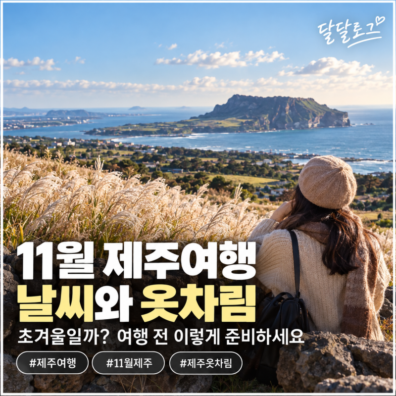 11월 제주여행 날씨와 옷차림｜초겨울일까? 여행 전 이렇게 준비하세요