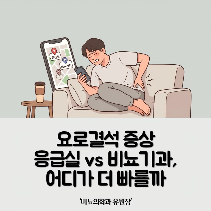 요로결석 증상 응급실 갈까? 당일 쇄석술이 빠른 이유
