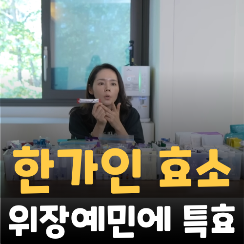 한가인 효소 식전 식후 먹는 법
