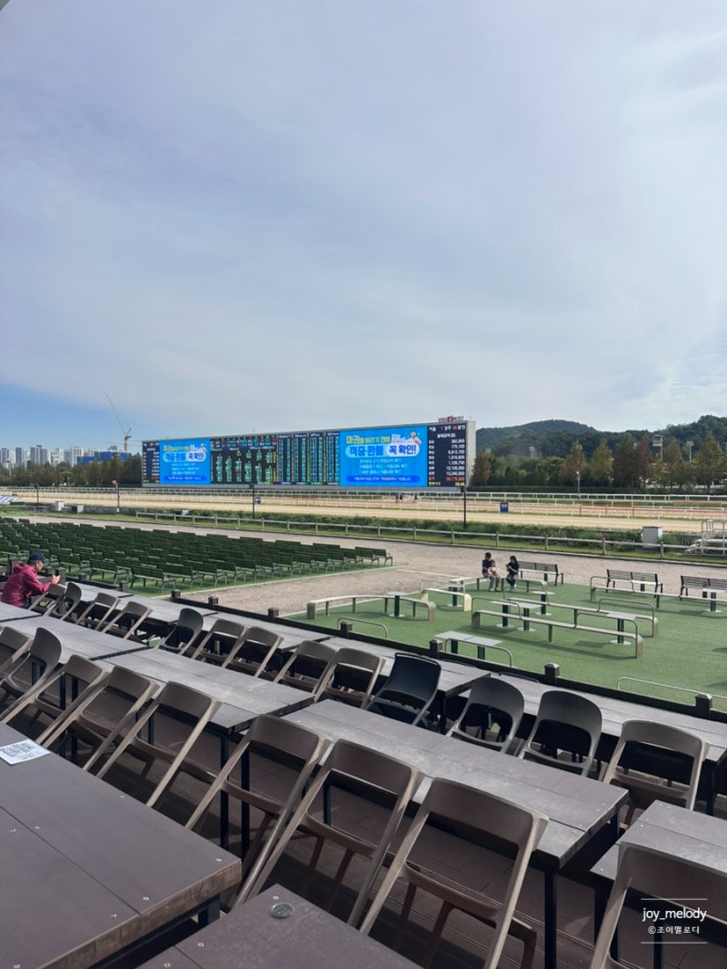 [렛츠런파크 서울 가을축제] 첫날 방문 후기 | 포니랜드 실패해도 200% 즐기는 실전 꿀팁 & 핵....