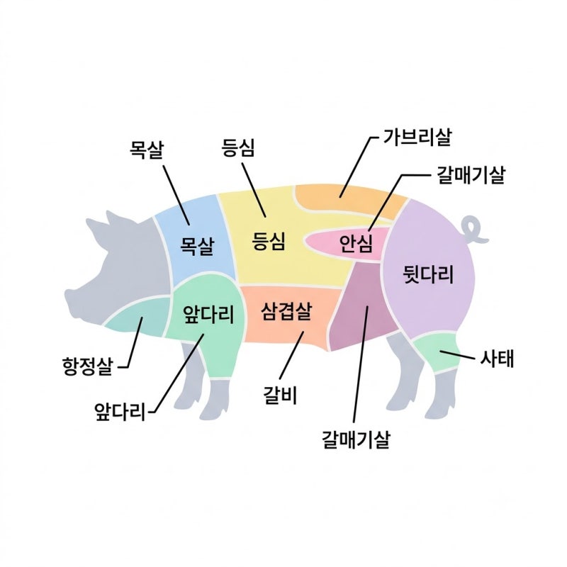 돼지고기 부위별 명칭 총정리 | 부위별 요리법·고르는 법까지 한 번에
