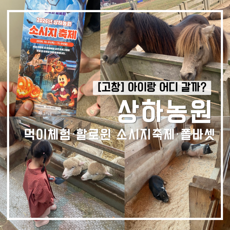 [고창]아이랑 상하농원 다녀온 후기｜동물 먹이체험부터 할로윈 소시지축제, 카페까지 (내돈....