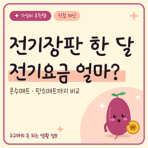전기장판 vs 온수매트 vs 탄소매트, 한 달 전기세는?