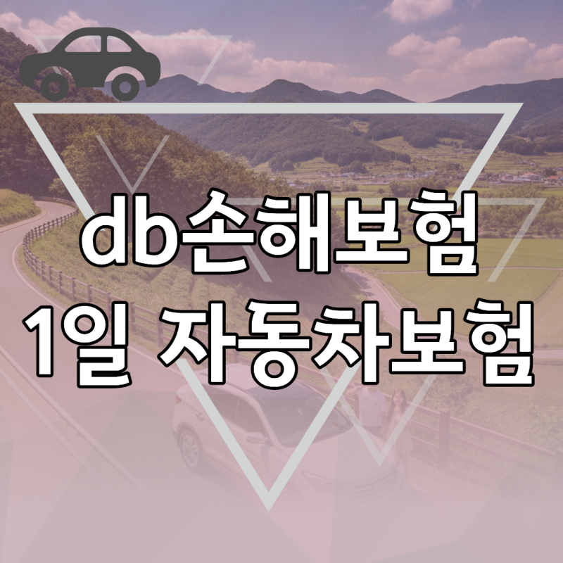 db손해보험 1일 자동차보험 가입 가능 차량과 운전자 나이 조건 정리