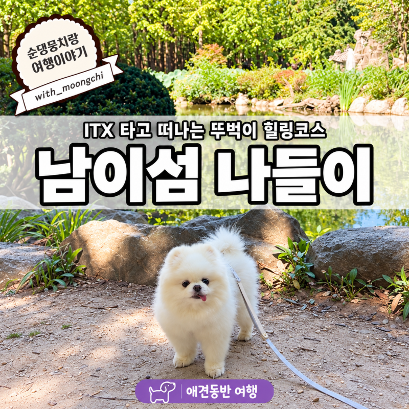 애견동반 뚜벅이 나들이 : 남이섬! (ITX·펫프렌들리 여권·개모차 대여)